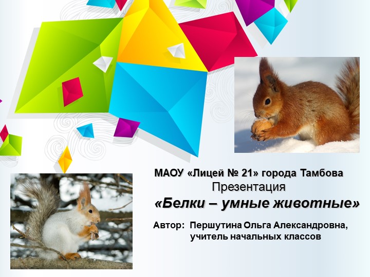 Презентация "Белки - умные животные" - Учебники, Презентации и Подготовка к Экзаменам для Школьников на Klass-Uchebnik.com