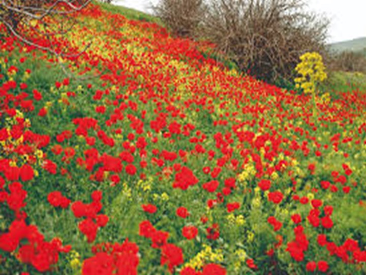 Презентация на тему ":Весна" - Учебники, Презентации и Подготовка к Экзаменам для Школьников на Klass-Uchebnik.com