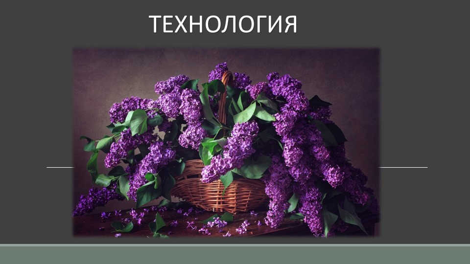 Презентация по технологии "Ветка сирени" (3 класс) - Учебники, Презентации и Подготовка к Экзаменам для Школьников на Klass-Uchebnik.com