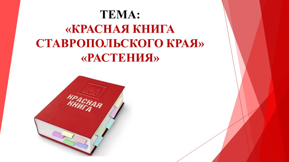 Где Можно Купить Книгу В Ставрополе