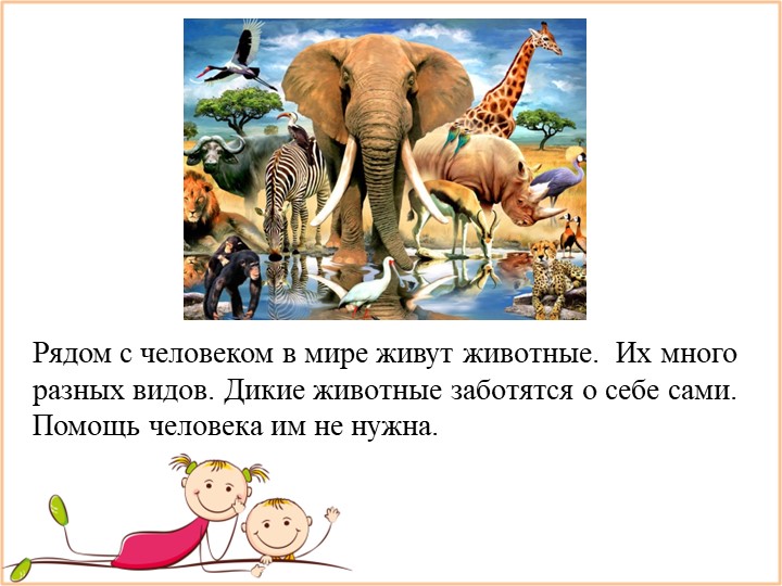 Презентация к позновательно-развлекательному мероприятию "Наши питомцы" Учебники, Презентации и Подготовка к Экзаменам для Школьников на Klass-Uchebnik.com