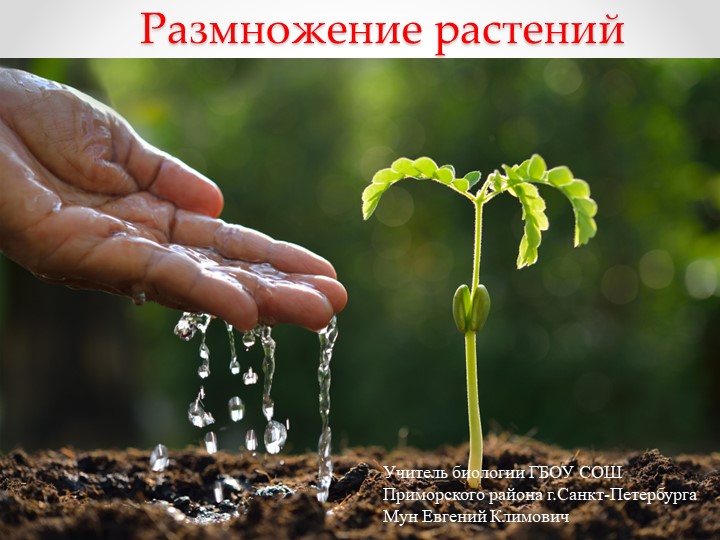 Презентация на тему Размножение растений, биология,6 класс - Учебники, Презентации и Подготовка к Экзаменам для Школьников на Klass-Uchebnik.com