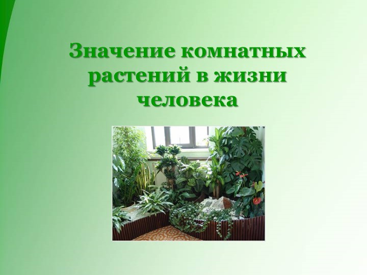 ПРЕЗЕНТАЦИЯ К сценарию непосредственно образовательной деятельности по познавательному развитию «Карлсон учится ухаживать за комнатными растениями» для детей старшего дошкольного возраста - Учебники, Презентации и Подготовка к Экзаменам для Школьников на Klass-Uchebnik.com