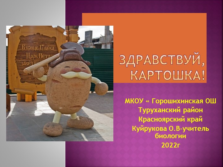 Презентация пор биологии " Здравствуй картошка!" - Учебники, Презентации и Подготовка к Экзаменам для Школьников на Klass-Uchebnik.com
