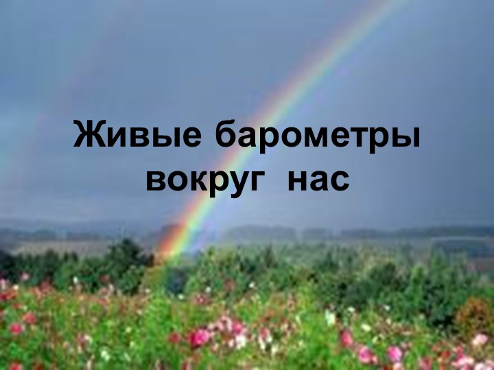 Презентация к детской исследовательской работе "Живые барометры вокруг нас" - Учебники, Презентации и Подготовка к Экзаменам для Школьников на Klass-Uchebnik.com