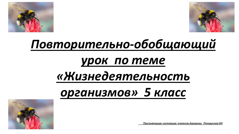 Презентация по теме "Жизнедеятельность организмов" - Учебники, Презентации и Подготовка к Экзаменам для Школьников на Klass-Uchebnik.com