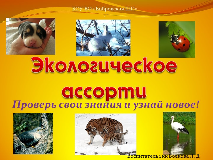 Презентация "Викторина. Экологическое ассорти" - Учебники, Презентации и Подготовка к Экзаменам для Школьников на Klass-Uchebnik.com