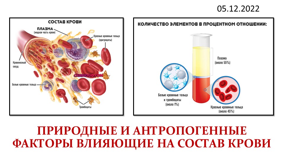 Презентация по экологии человека "Природные и антропогенные факторы, влияющие на состав крови" (8 класс) - Учебники, Презентации и Подготовка к Экзаменам для Школьников на Klass-Uchebnik.com
