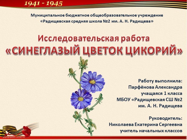 Исследовательская работа «СИНЕГЛАЗЫЙ ЦВЕТОК ЦИКОРИЙ» Учебники, Презентации и Подготовка к Экзаменам для Школьников на Klass-Uchebnik.com