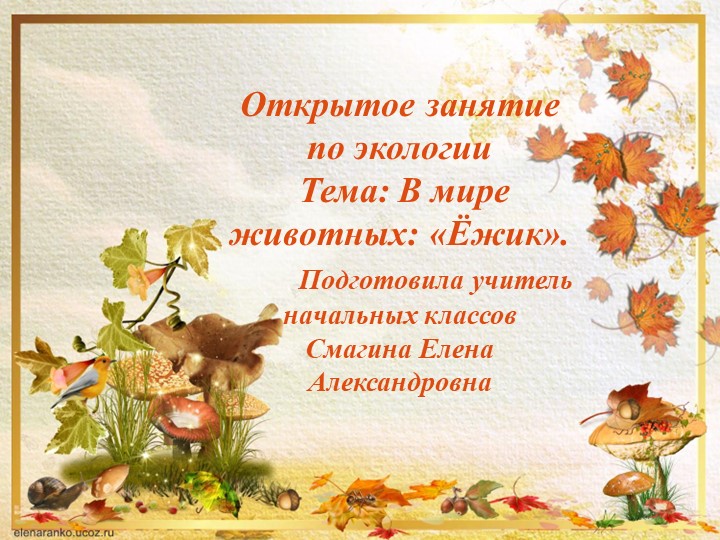 Презентация по экологии на тему " В мире животных: «Ёжик». Учебники, Презентации и Подготовка к Экзаменам для Школьников на Klass-Uchebnik.com