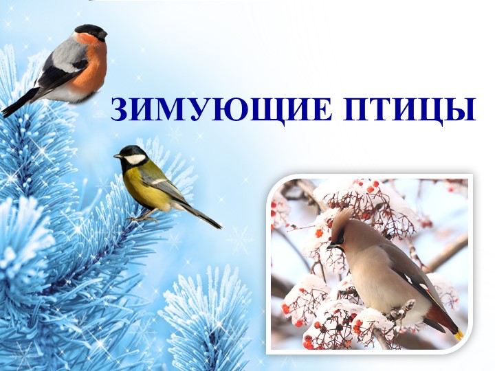Презентация к неделе Синичкин день "Зимующие птицы" Учебники, Презентации и Подготовка к Экзаменам для Школьников на Klass-Uchebnik.com