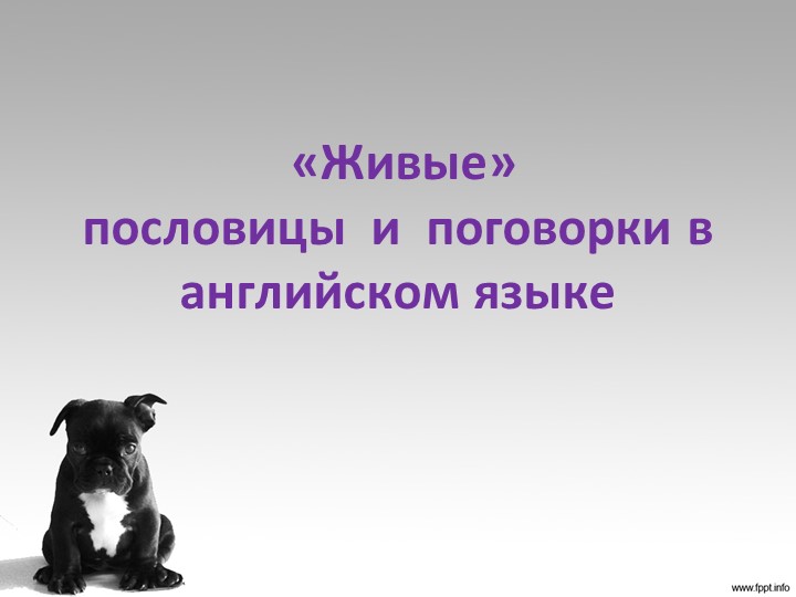 Презентация к научной работе "Живые пословицы и поговорки в английском языке" Учебники, Презентации и Подготовка к Экзаменам для Школьников на Klass-Uchebnik.com