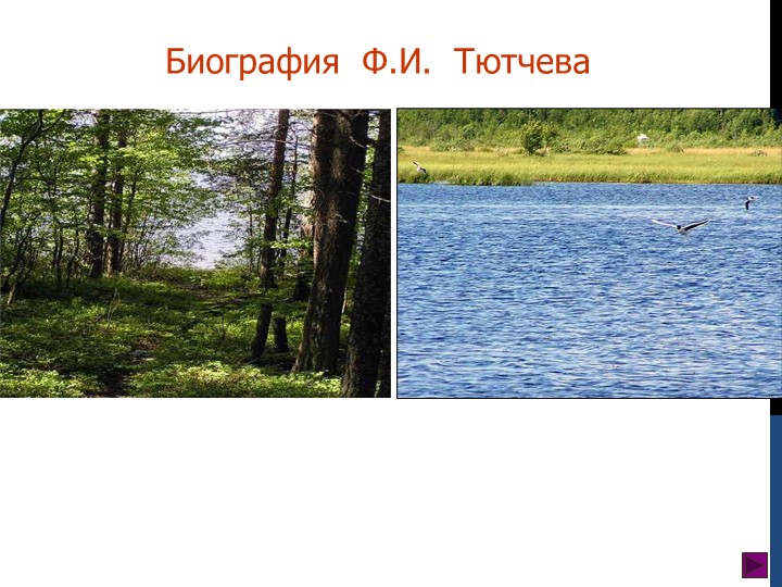 Урок в 6 классе "Биография Ф.И. Тютчева" - Учебники, Презентации и Подготовка к Экзаменам для Школьников на Klass-Uchebnik.com