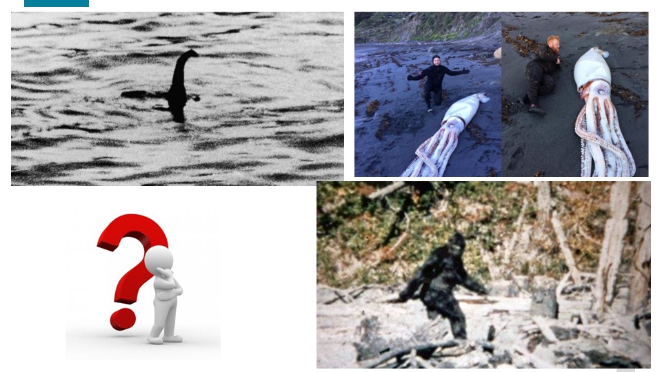 Презентация по английскому языку на тему "Mysterious monsters" - Учебники, Презентации и Подготовка к Экзаменам для Школьников на Klass-Uchebnik.com