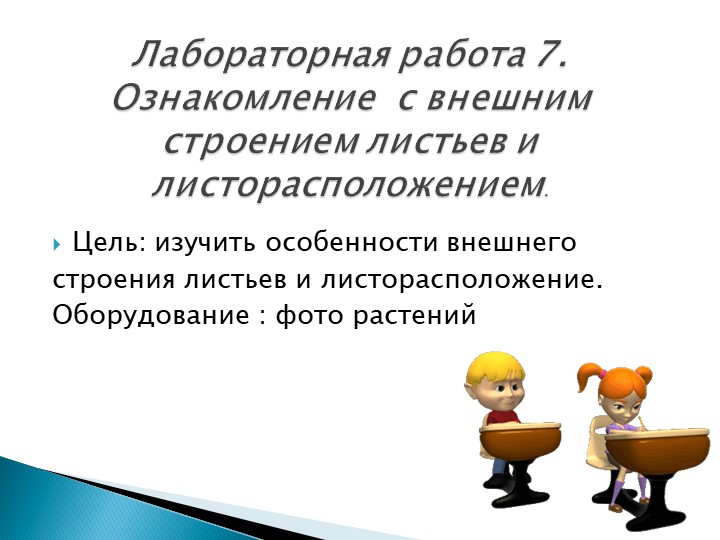 Лабораторная работа 7. Ознакомление с внешним строением листьев и листорасположением 6 КЛАСС Учебники, Презентации и Подготовка к Экзаменам для Школьников на Klass-Uchebnik.com