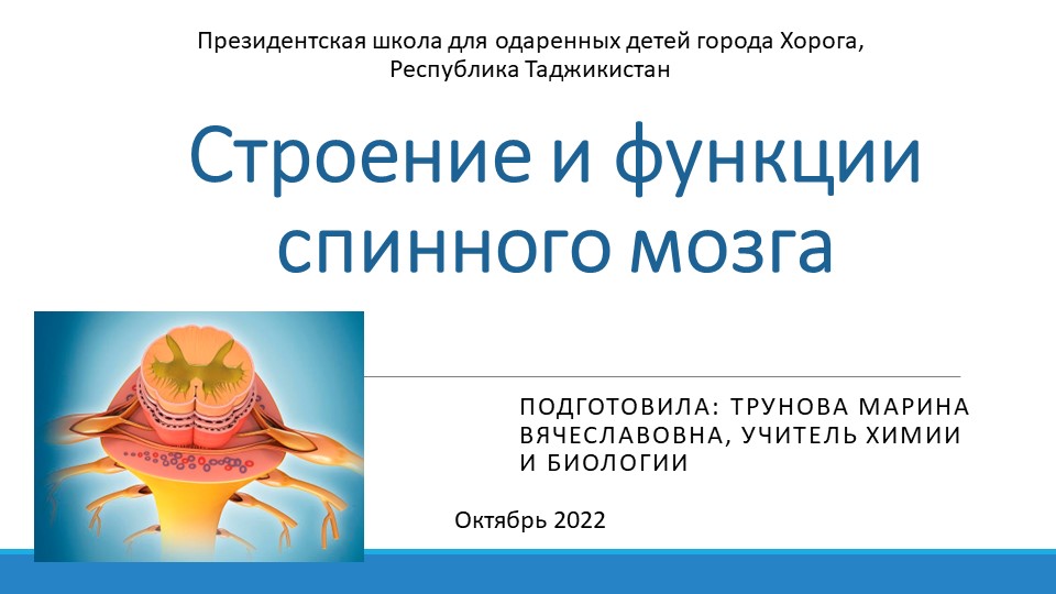 Презентация по биологии на тему "Строение и функции спинного мозга" (9 класс) Учебники, Презентации и Подготовка к Экзаменам для Школьников на Klass-Uchebnik.com