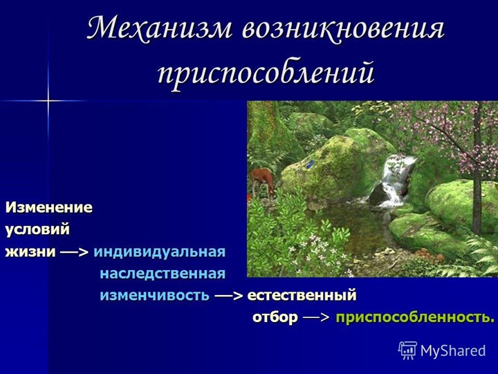 Презентация по биологии "Приспособленность организмов" Учебники, Презентации и Подготовка к Экзаменам для Школьников на Klass-Uchebnik.com