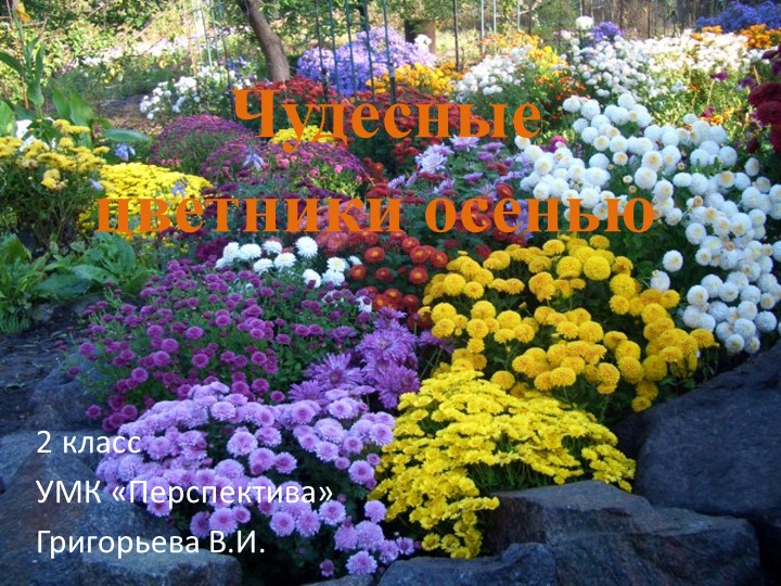 Презентация "Чудесные цветники осенью" Учебники, Презентации и Подготовка к Экзаменам для Школьников на Klass-Uchebnik.com