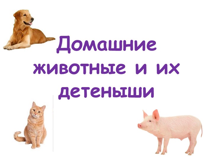 Презентация "Домашние животные и их детеныши" - Учебники, Презентации и Подготовка к Экзаменам для Школьников на Klass-Uchebnik.com