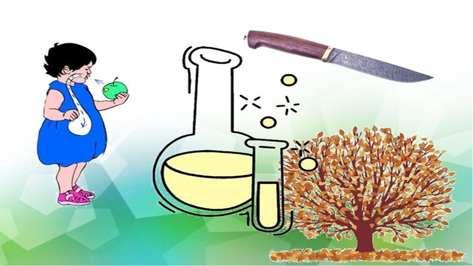 Презентация по химии на тему "Соляная кислота" - Учебники, Презентации и Подготовка к Экзаменам для Школьников на Klass-Uchebnik.com