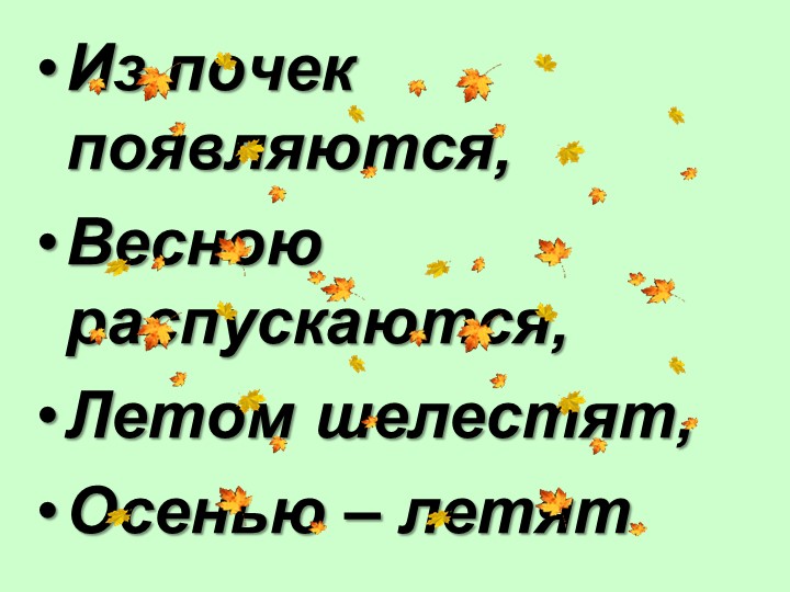 Презентация на тему: "Внешнее строение листа" - Учебники, Презентации и Подготовка к Экзаменам для Школьников на Klass-Uchebnik.com