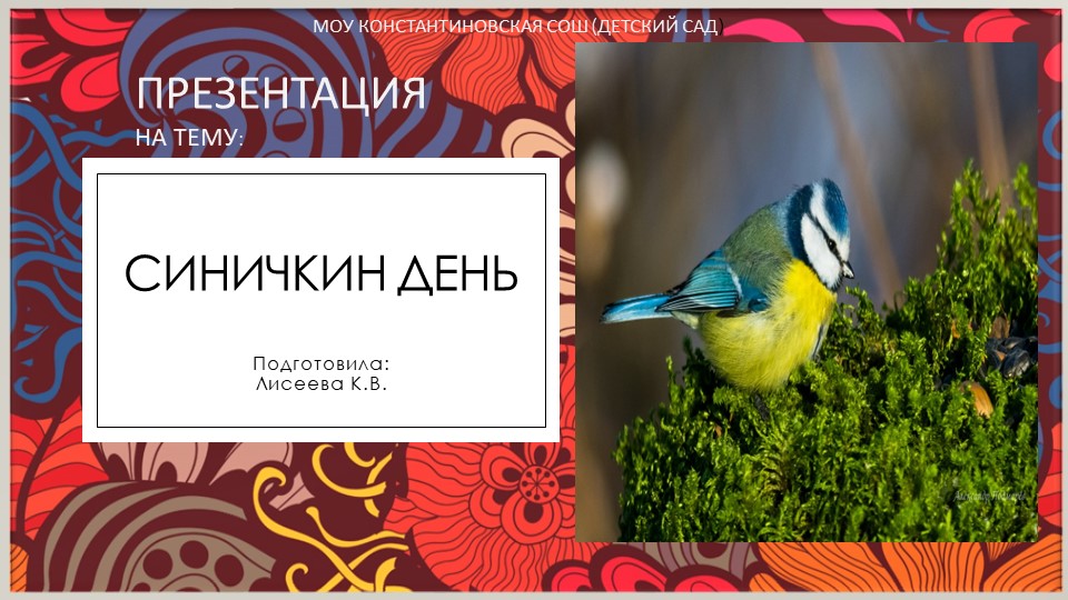 Презентация " Синичкина неделя" Учебники, Презентации и Подготовка к Экзаменам для Школьников на Klass-Uchebnik.com