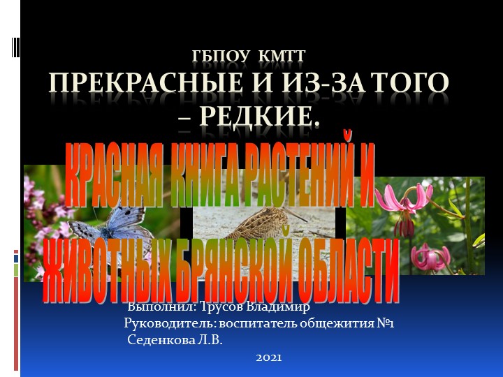 Прекрасные и из-за того – редкие - Учебники, Презентации и Подготовка к Экзаменам для Школьников на Klass-Uchebnik.com