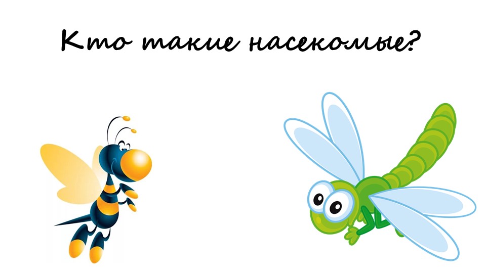 Презентация кто такие насекомые - Учебники, Презентации и Подготовка к Экзаменам для Школьников на Klass-Uchebnik.com