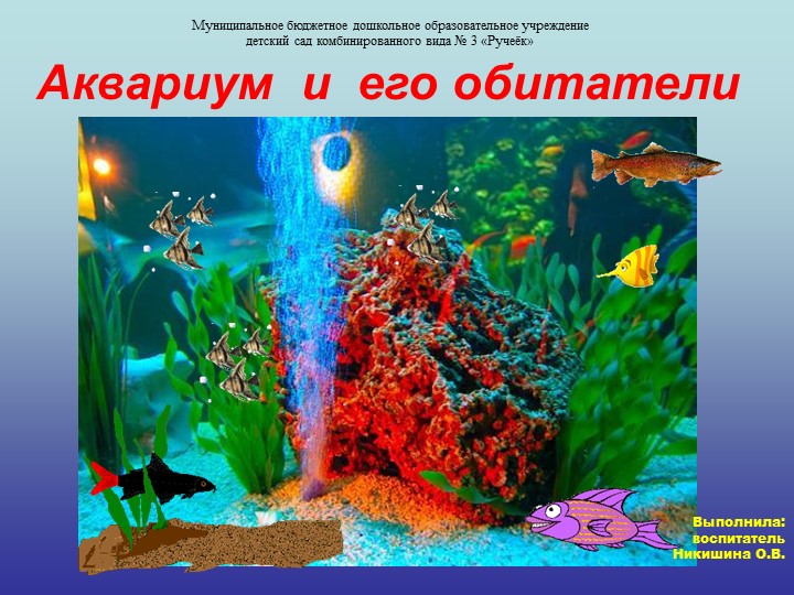 Презентация по познавательному развитию на тему " Аквариум и его обитатели" - Учебники, Презентации и Подготовка к Экзаменам для Школьников на Klass-Uchebnik.com