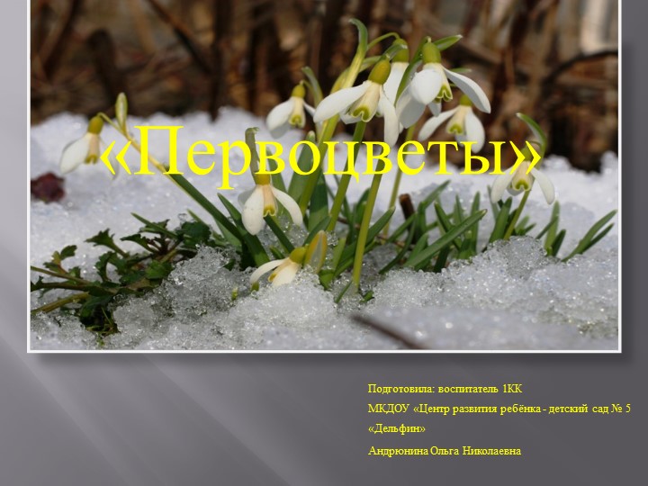 Презентация на тему "Первоцветы"(средняя группа). Учебники, Презентации и Подготовка к Экзаменам для Школьников на Klass-Uchebnik.com