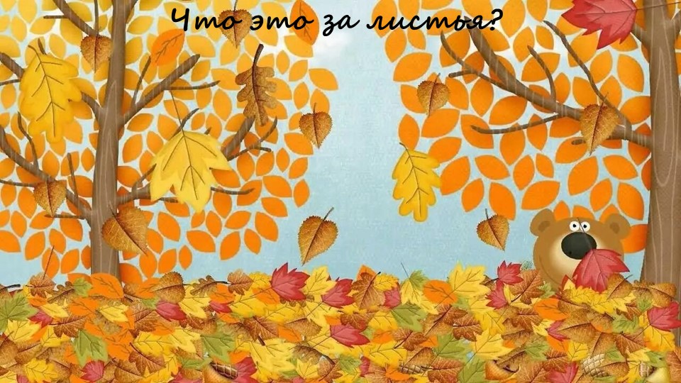 Что это за листья Учебники, Презентации и Подготовка к Экзаменам для Школьников на Klass-Uchebnik.com
