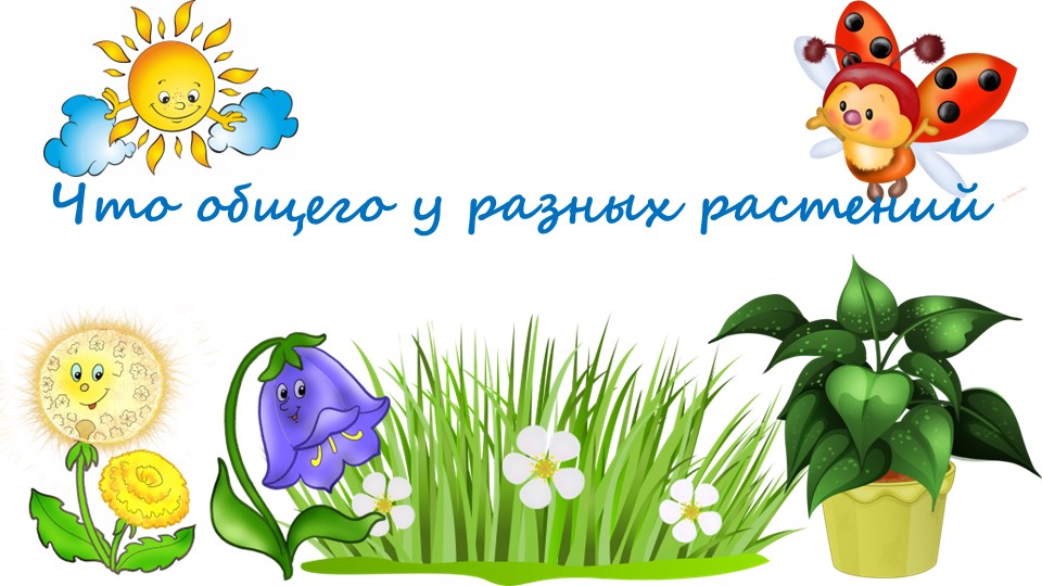 Что общего у растений - Учебники, Презентации и Подготовка к Экзаменам для Школьников на Klass-Uchebnik.com