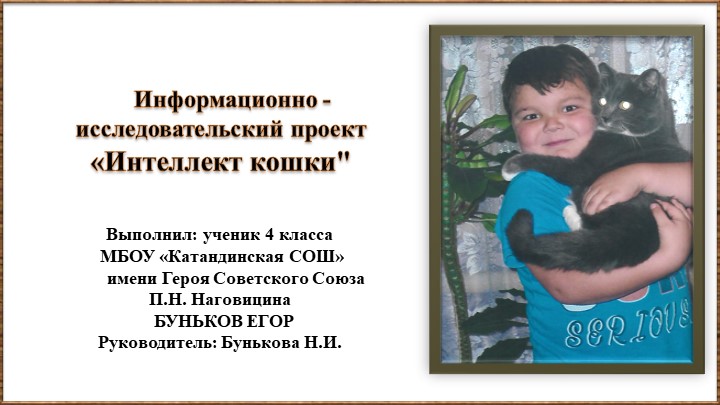 Презентация проекта "Интеллект кошек" Учебники, Презентации и Подготовка к Экзаменам для Школьников на Klass-Uchebnik.com