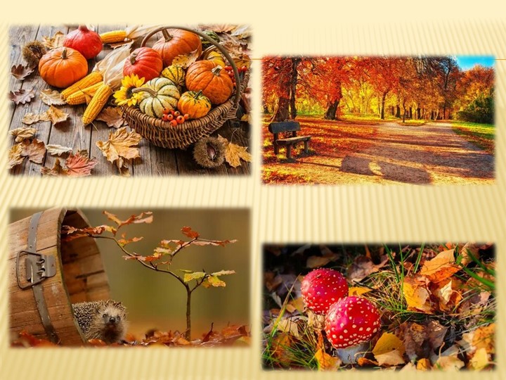 Презентация к мероприятию на немецком языке "Праздник осени" - Учебники, Презентации и Подготовка к Экзаменам для Школьников на Klass-Uchebnik.com