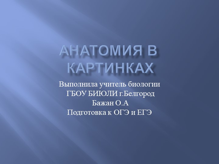 Презентация "Анатомия в картинках" Учебники, Презентации и Подготовка к Экзаменам для Школьников на Klass-Uchebnik.com