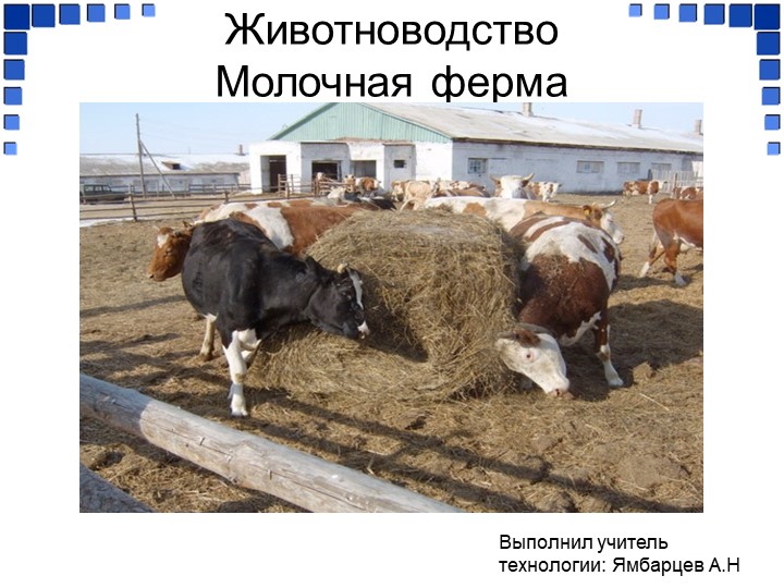 Презентация 8 класс "Животноводство. Молочная ферма" - Учебники, Презентации и Подготовка к Экзаменам для Школьников на Klass-Uchebnik.com