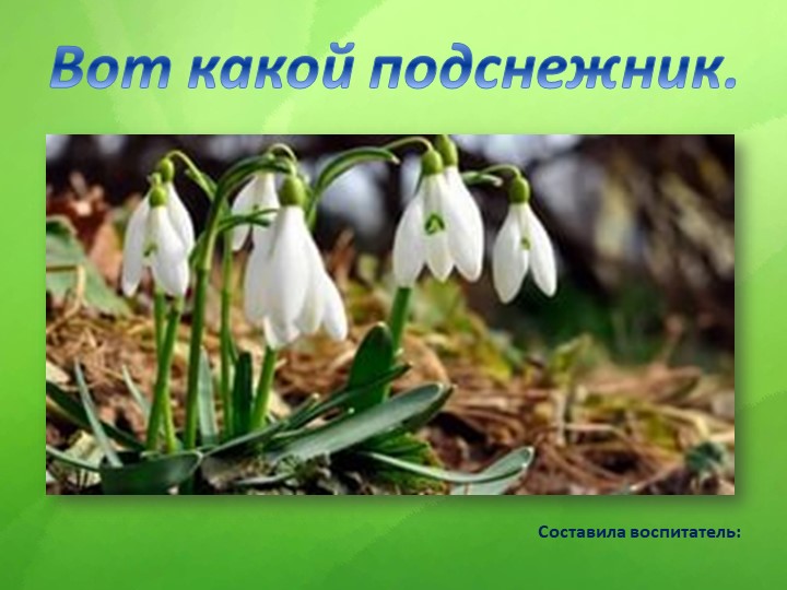 Презентация к занятию по художественно эстетическому развитию "Подснежники" - Учебники, Презентации и Подготовка к Экзаменам для Школьников на Klass-Uchebnik.com