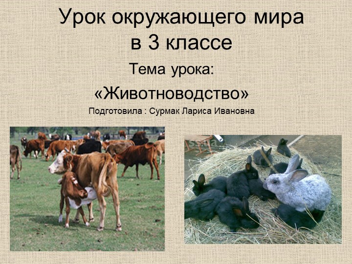 Презентация по окружающему миру Тема . Животноводство (3 класс) . - Учебники, Презентации и Подготовка к Экзаменам для Школьников на Klass-Uchebnik.com