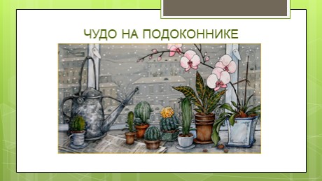 Презентация по окружающему миру на тему "Чудо на подоконнике" (дошкольники) - Учебники, Презентации и Подготовка к Экзаменам для Школьников на Klass-Uchebnik.com