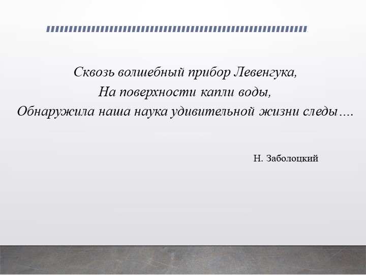 Презентация по биологии на тему "Царство бактерии" - Учебники, Презентации и Подготовка к Экзаменам для Школьников на Klass-Uchebnik.com