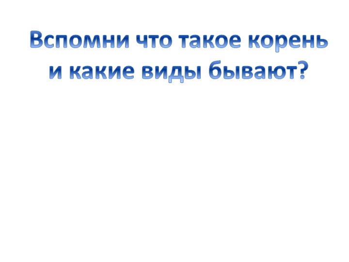 Презентация по биологии на тему : "Внутреннее строение корня" - Учебники, Презентации и Подготовка к Экзаменам для Школьников на Klass-Uchebnik.com
