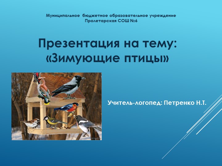 Презентация к занятию на тему "Зимующие птицы" - Учебники, Презентации и Подготовка к Экзаменам для Школьников на Klass-Uchebnik.com