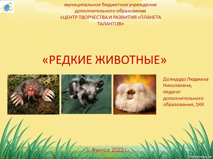 Презентация по экологии "Редкие животные" - Учебники, Презентации и Подготовка к Экзаменам для Школьников на Klass-Uchebnik.com