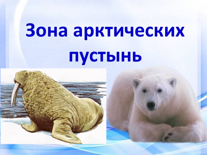 Презентация зона арктических пустынь - Учебники, Презентации и Подготовка к Экзаменам для Школьников на Klass-Uchebnik.com