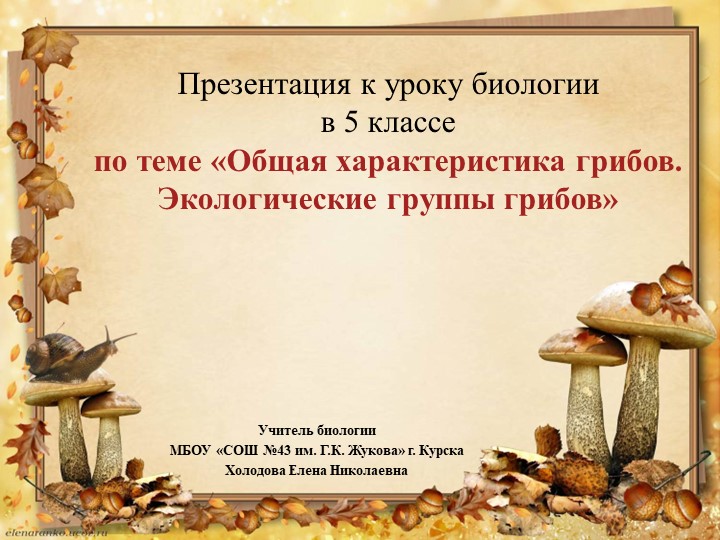 Презентация "Общая характеристика грибов. Экологические группы грибов" - Учебники, Презентации и Подготовка к Экзаменам для Школьников на Klass-Uchebnik.com