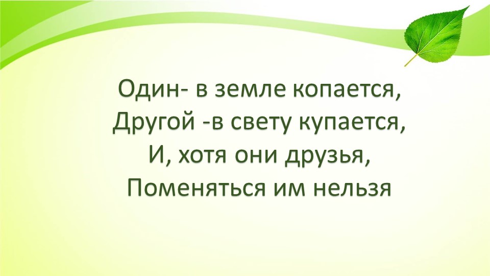 Презентация к уроку окружающий мир 2 класс "Питание растений" Учебники, Презентации и Подготовка к Экзаменам для Школьников на Klass-Uchebnik.com