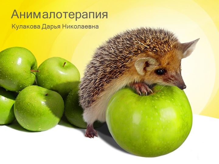 Анималотерапия. Нестандартные методы реабилитации ребенка с ОВЗ. - Учебники, Презентации и Подготовка к Экзаменам для Школьников на Klass-Uchebnik.com