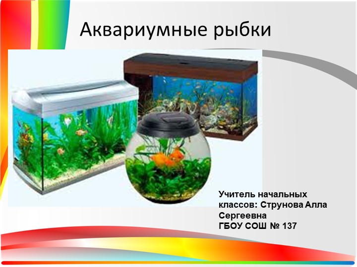Презентация по технологии " Аквариумные рыбки" Учебники, Презентации и Подготовка к Экзаменам для Школьников на Klass-Uchebnik.com