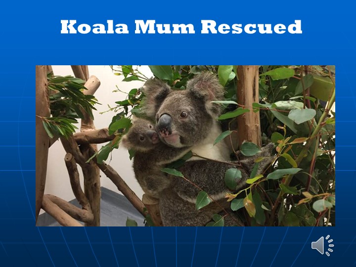 Презентация по английскому языку на тему :"Media jobs" - Учебники, Презентации и Подготовка к Экзаменам для Школьников на Klass-Uchebnik.com