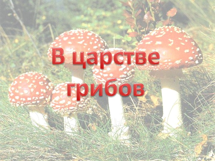 Презентация по окружающему миру "Царство грибов" 3 класс УМК "Школа России" Учебники, Презентации и Подготовка к Экзаменам для Школьников на Klass-Uchebnik.com